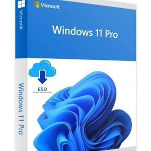 Microsoft Windows 11 Pro 64-bit | National-Retail | Dauerlizenz | ESD